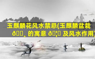玉麒麟花风水禁忌(玉麒麟盆栽 🌸 的寓意 🦈 及风水作用)